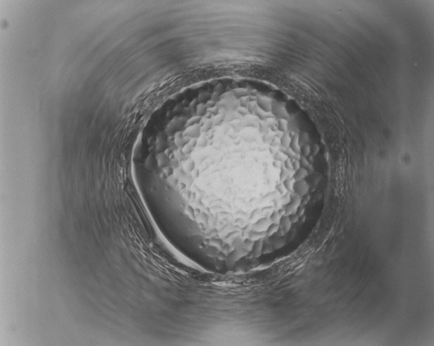 X0000057090917200509231646