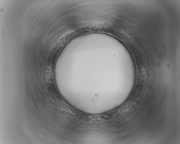 X0000057090918200509231646