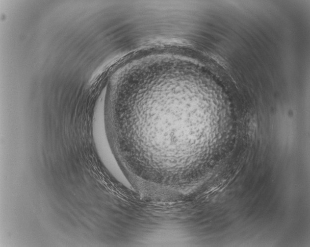 X0000057090919200509231646