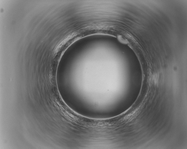 X0000057090922200509231646