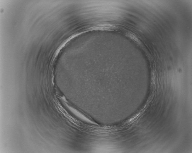 X0000057090923200509231646