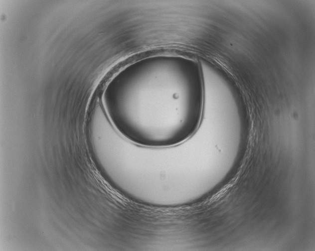 X0000057090924200509231646