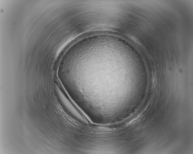 X0000057090925200509231646