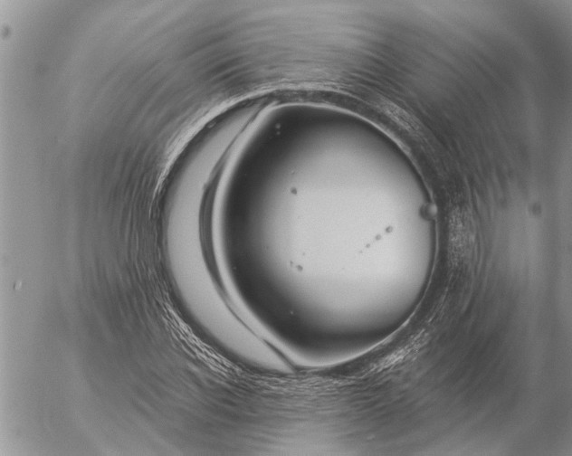 X0000057090926200509231646