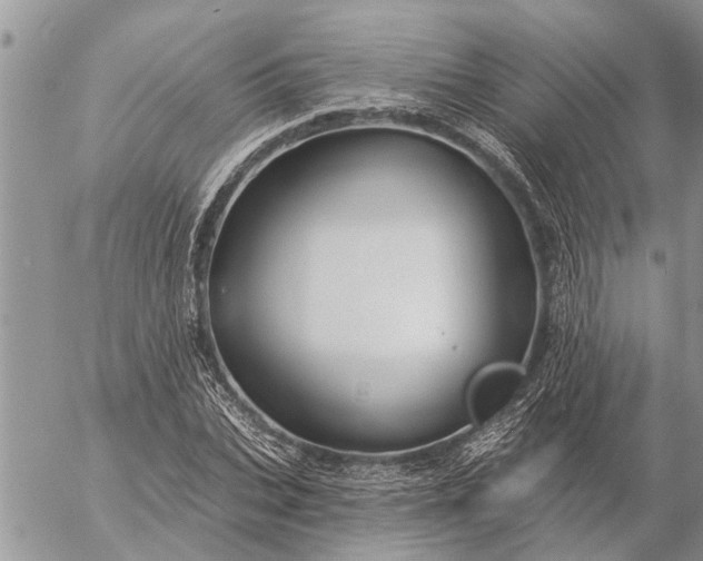 X0000057090927200509231646