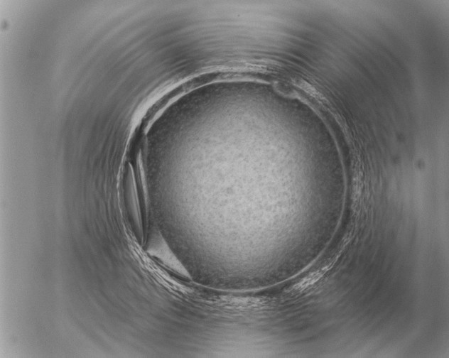 X0000057090928200509231646