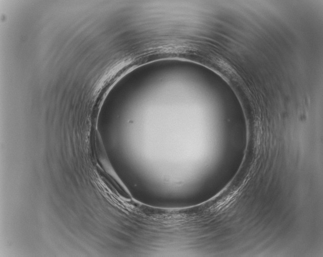 X0000057090930200509231646