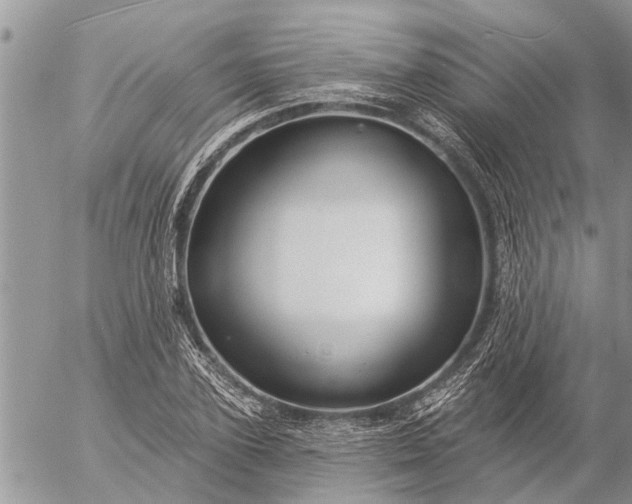 X0000057090931200509231646