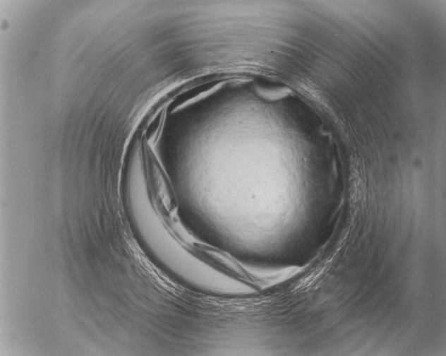 X0000057090932200509231646