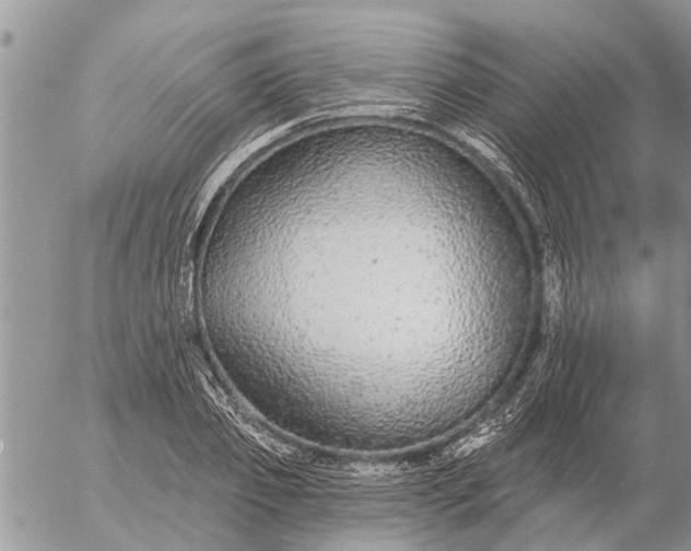 X0000057090933200509231646