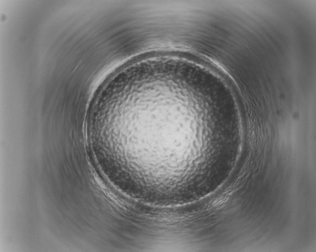 X0000057090935200509231646