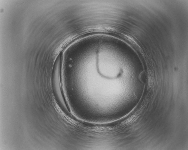 X0000057090938200509231646