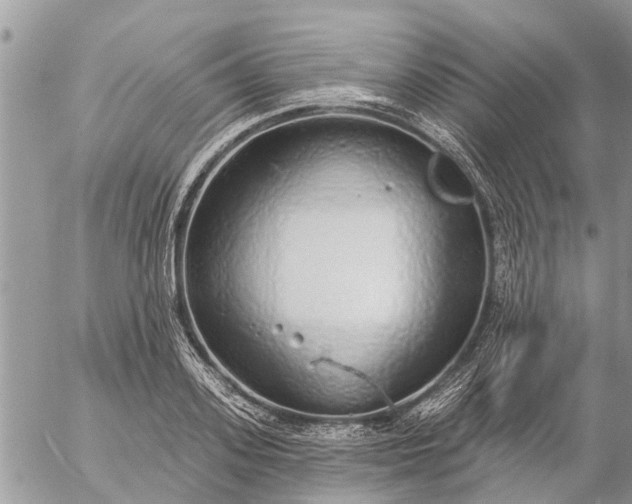 X0000057090939200509231646