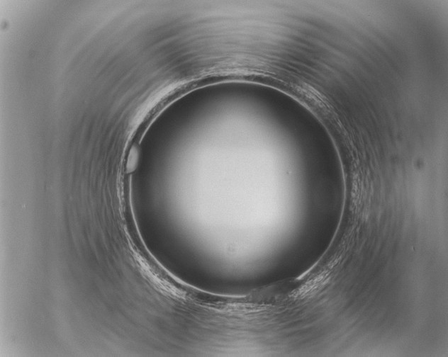 X0000057090942200509231646