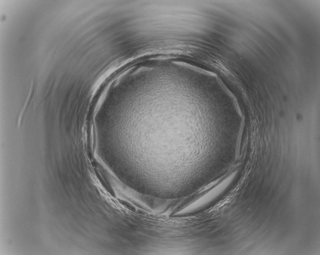 X0000057090944200509231646