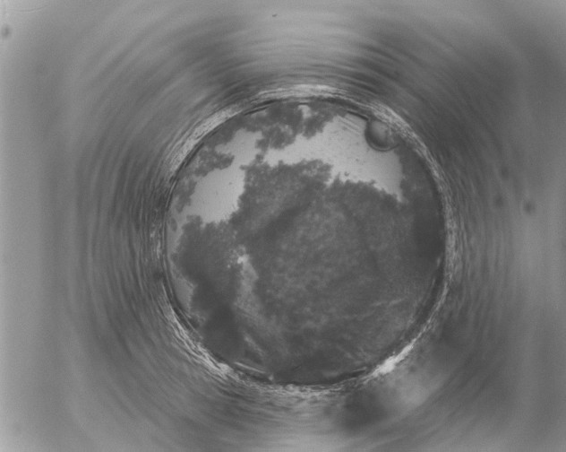 X0000057090945200509231646