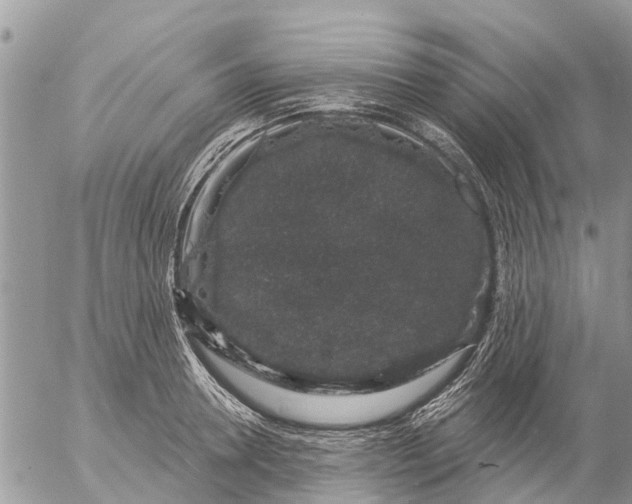 X0000057090946200509231646