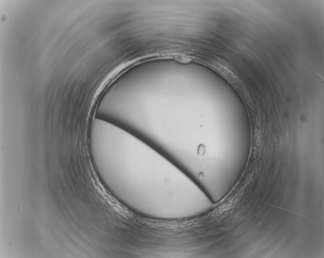 X0000057090948200509231646