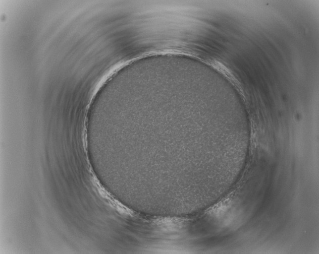 X0000057090950200509231646