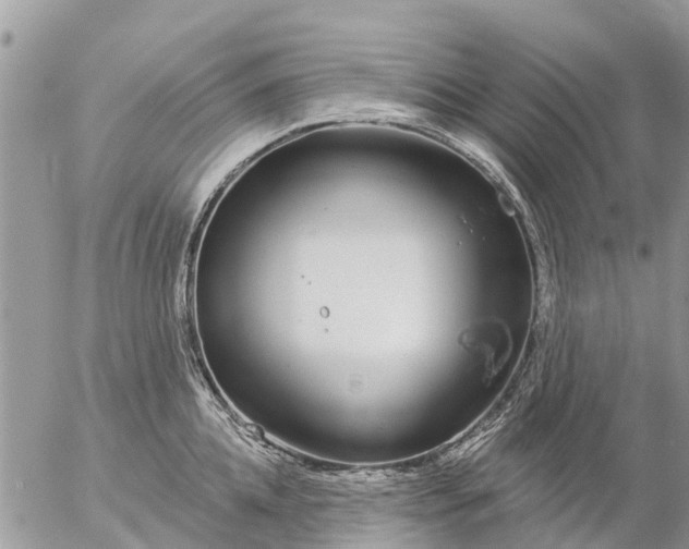 X0000057090952200509231646