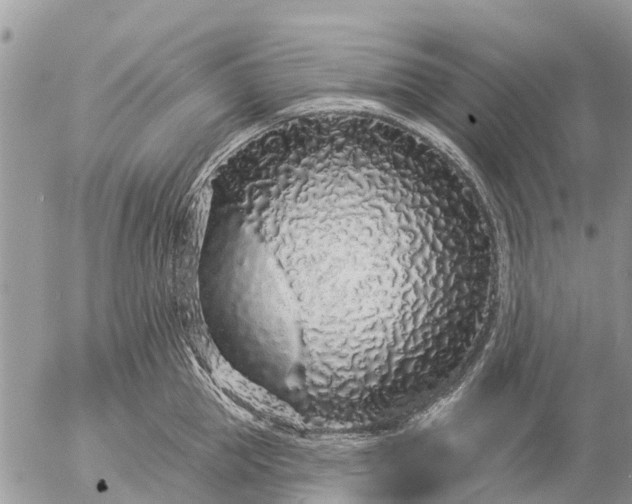 X0000057090953200509231646