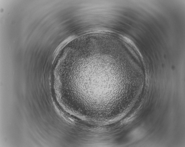 X0000057090954200509231646