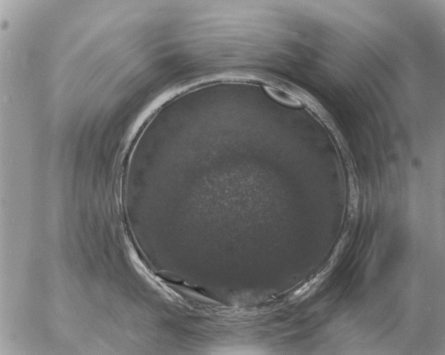 X0000057090958200509231646