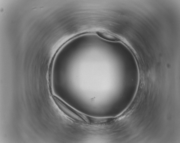 X0000057090959200509231646