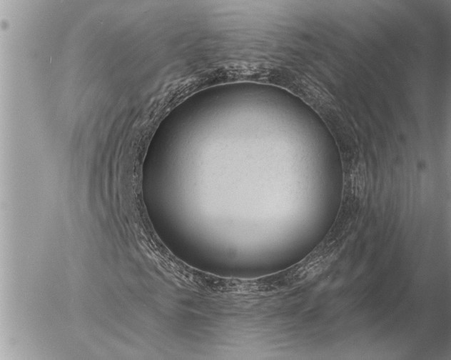 X0000057090961200509231646