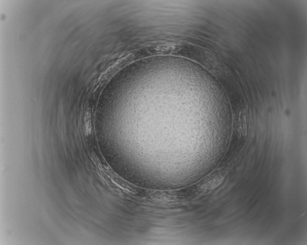 X0000057090962200509231646