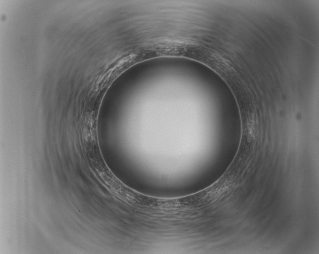 X0000057090964200509231646