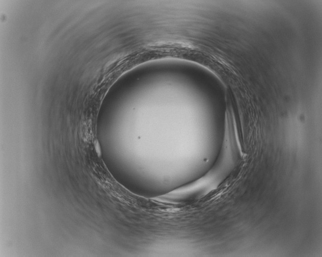 X0000057090965200509231646