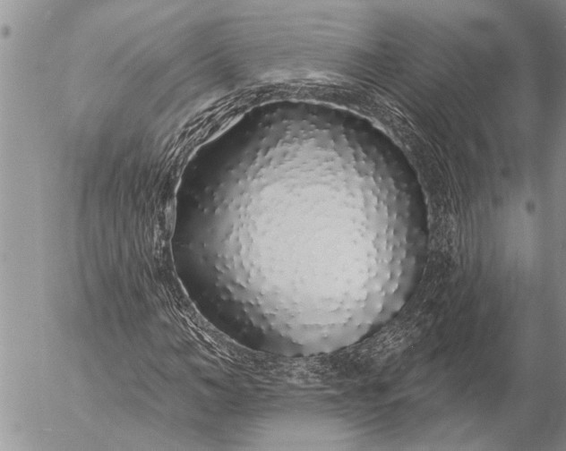 X0000057090966200509231645