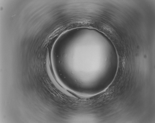 X0000057090968200509231645