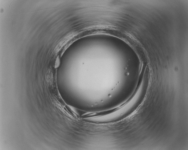 X0000057090969200509231645