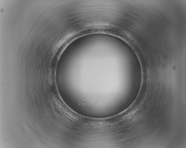 X0000057090970200509231645