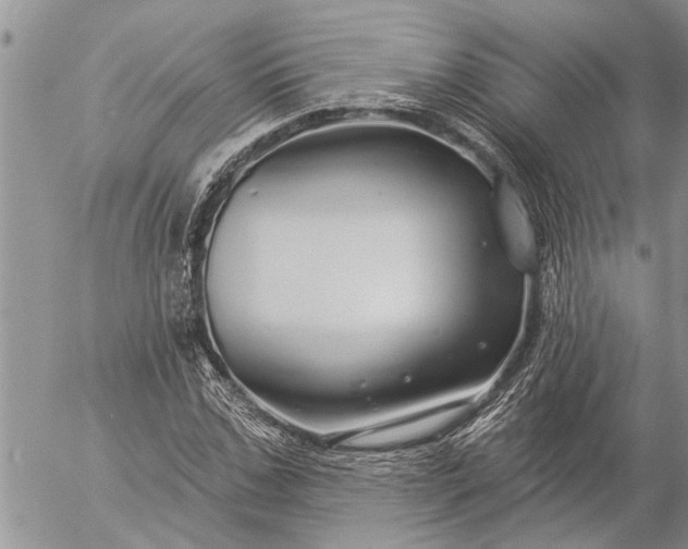 X0000057090971200509231645