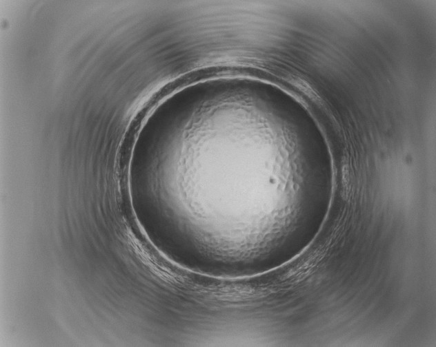 X0000057090972200509231645