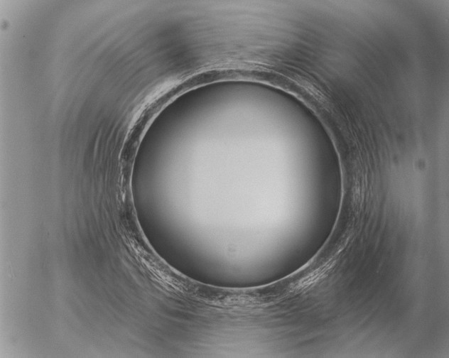 X0000057090974200509231645