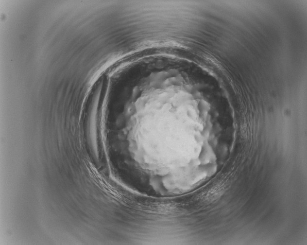 X0000057090975200509231645