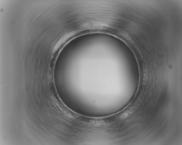 X0000057090978200509231645