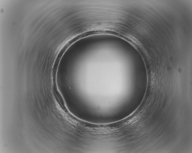 X0000057090980200509231645