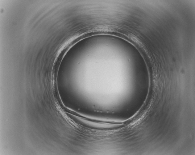 X0000057090981200509231645