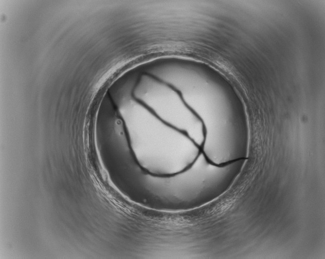 X0000057090983200509231645