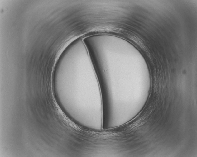 X0000057090984200509231645