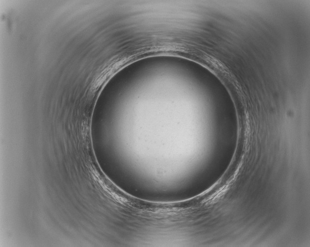 X0000057090985200509231645