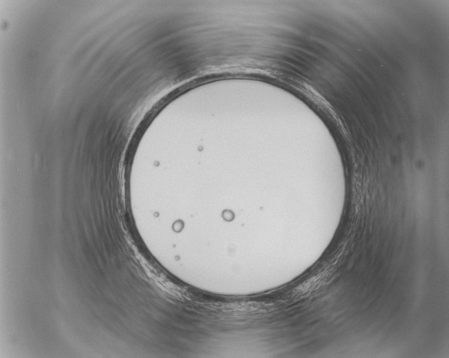 X0000057090988200509231645