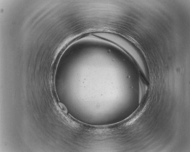 X0000057090989200509231645