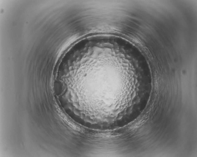 X0000057090990200509231645