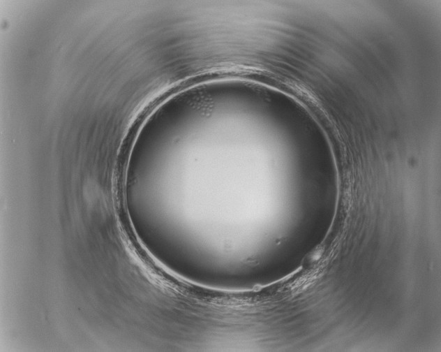 X0000057090991200509231645